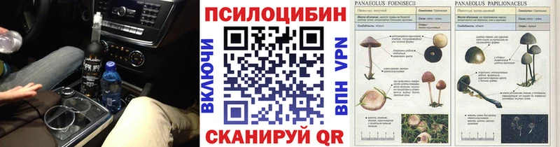 Псилоцибиновые грибы MAGIC MUSHROOMS где можно купить Димитровград