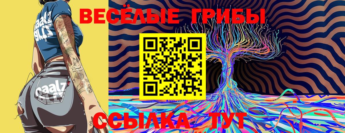 Димитровград  закладка  Вход с VPN  Галлюциногенные грибы Psilocybine cubensis 