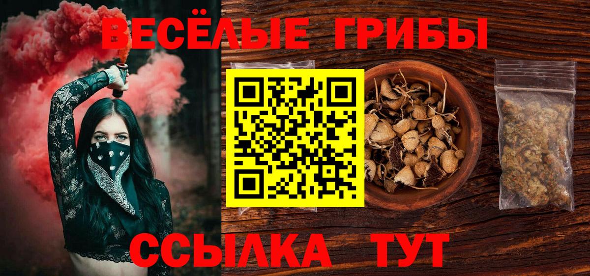 Галлюциногенные грибы мицелий Димитровград