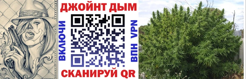 Конопля семена  Димитровград 